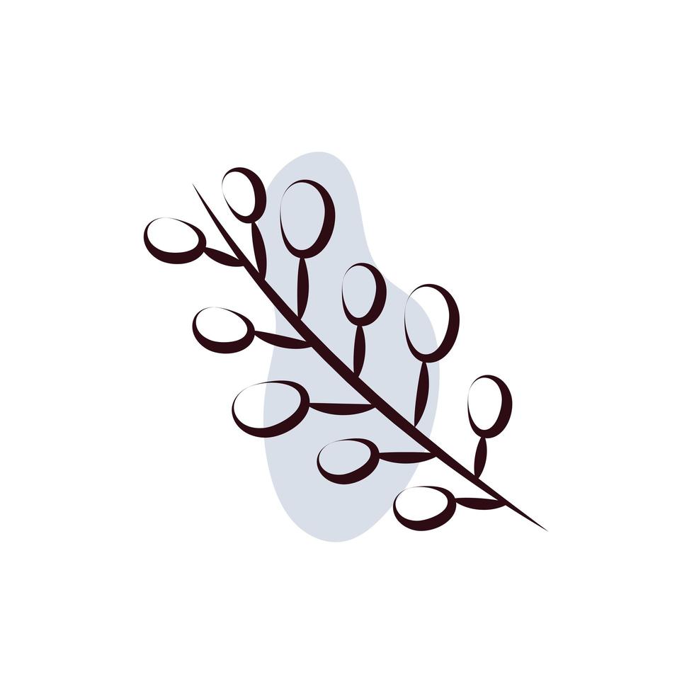 branch with seeds hand draw style vector