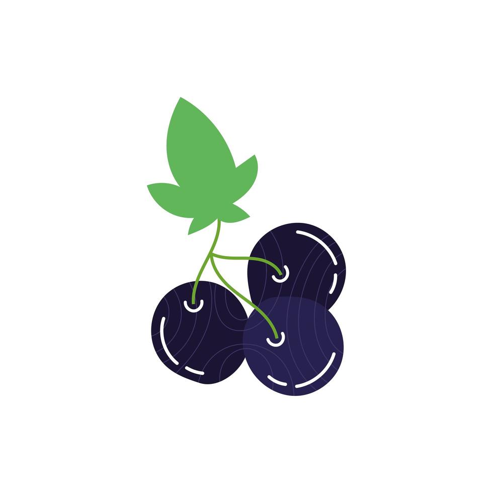 blueberry exotic fruits flat style vector