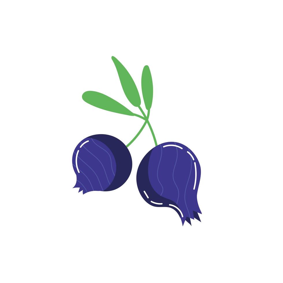 blueberry exotic fruits flat style vector