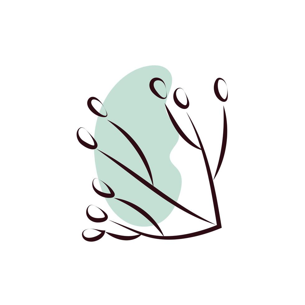 branch with seeds hand draw style vector