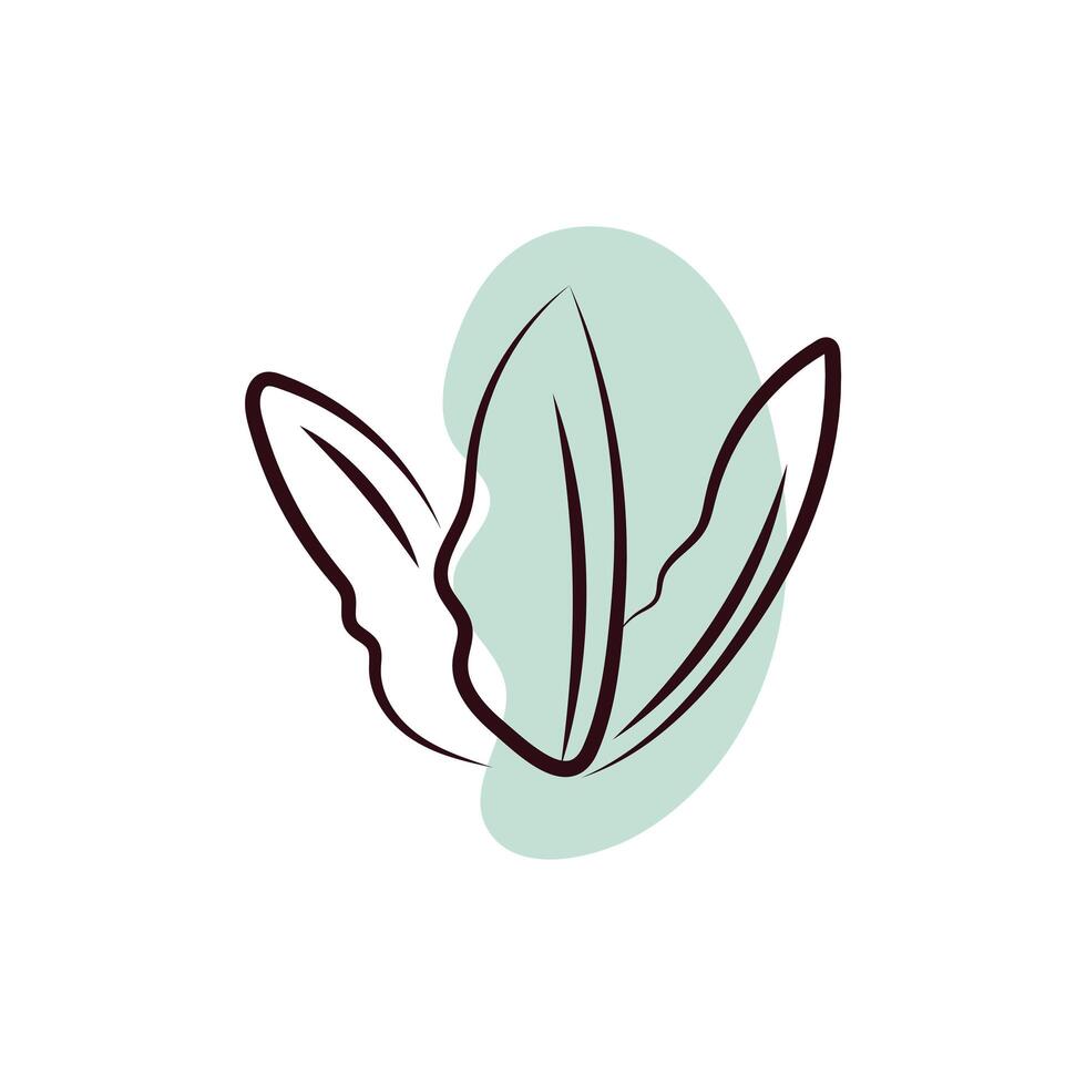 ecology leafs plants hand draw style vector