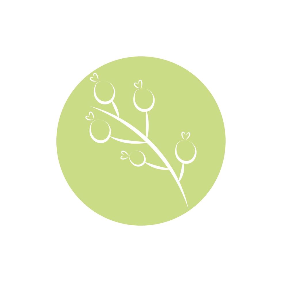 branch with seeds block and line style vector