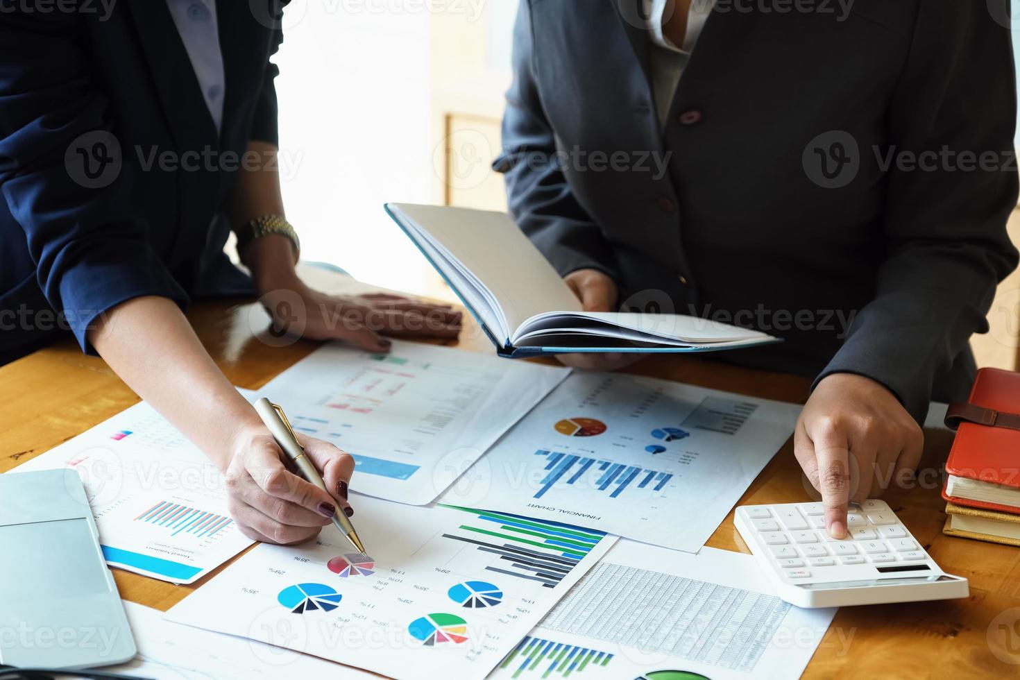 A business advisor explains graphs statistics and ways to increase profits photo