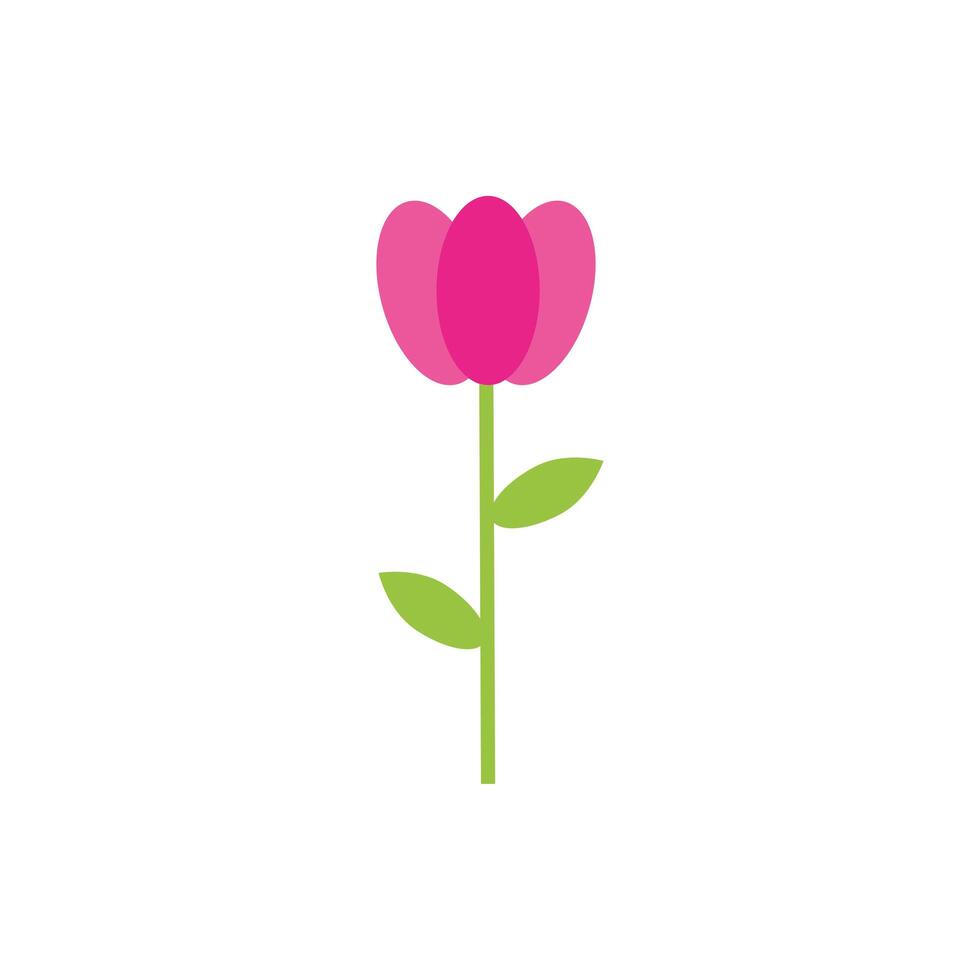 beautifull flower garden spring flat style vector
