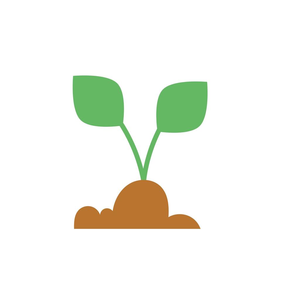 house plant cultivating flat style vector