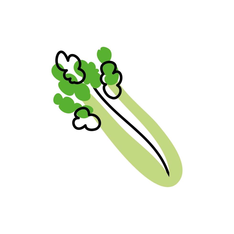 fresh celery vegetable healthy isolated icon vector