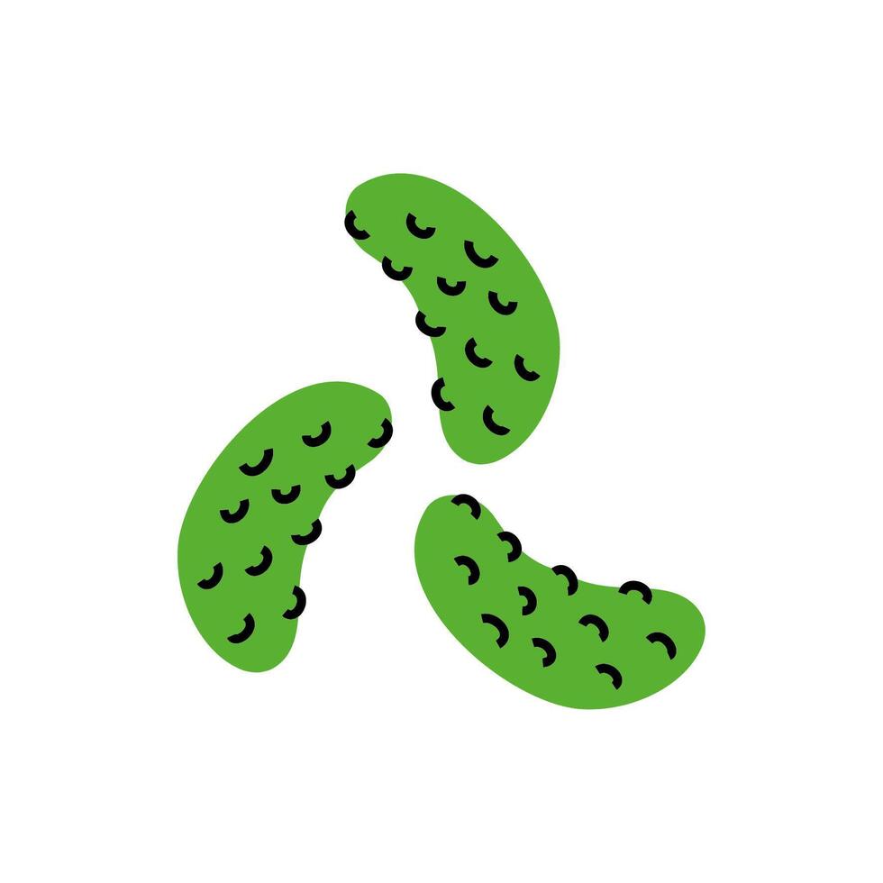 fresh pickles vegetable healthy isolated icon vector