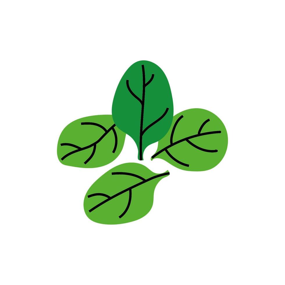 fresh leafs vegetable healthy isolated icon vector