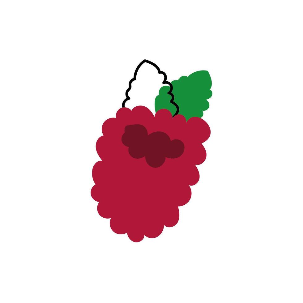 icono aislado de fruta fresca de mora vector