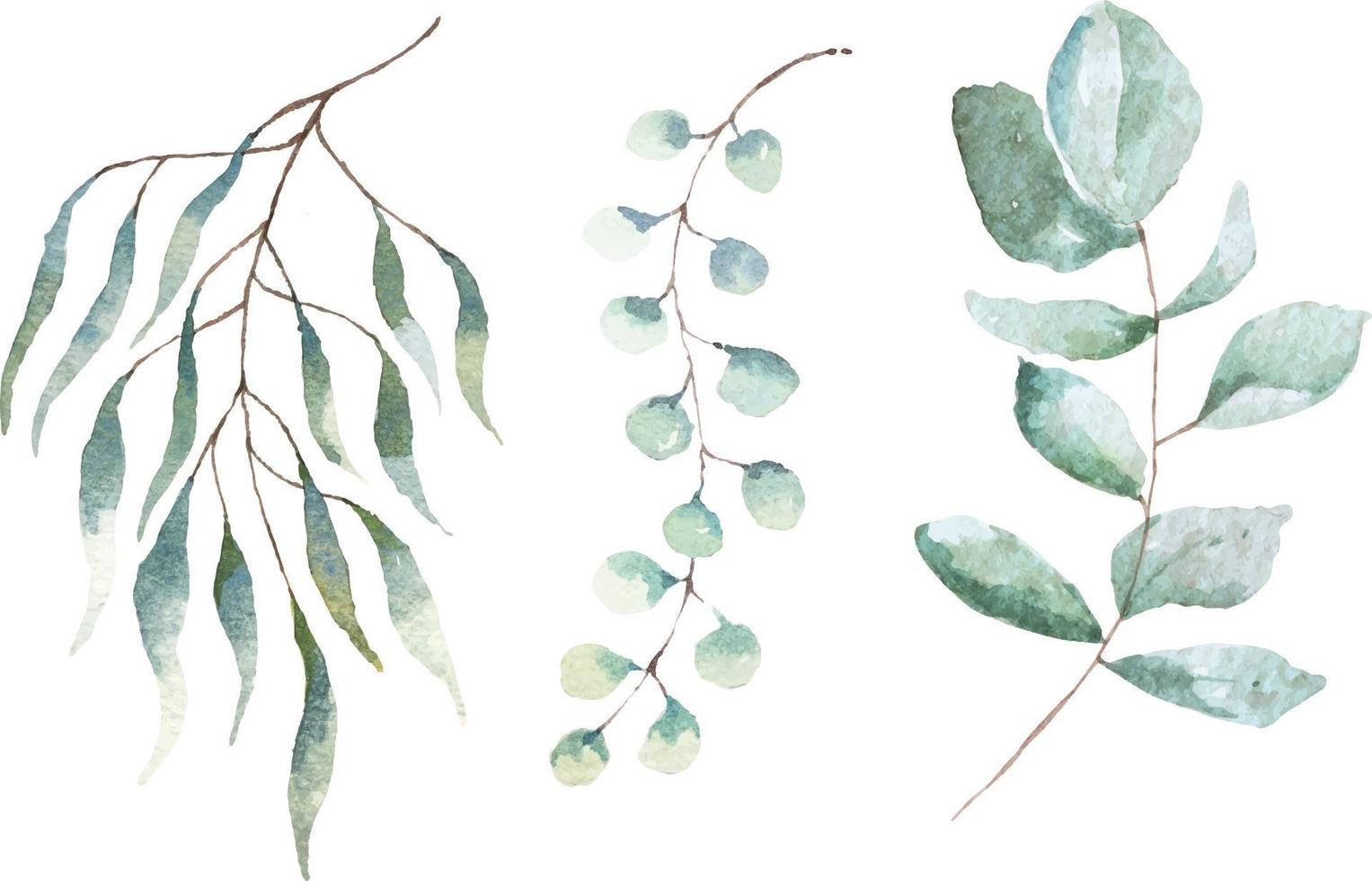Watercolor painted botanical set vector