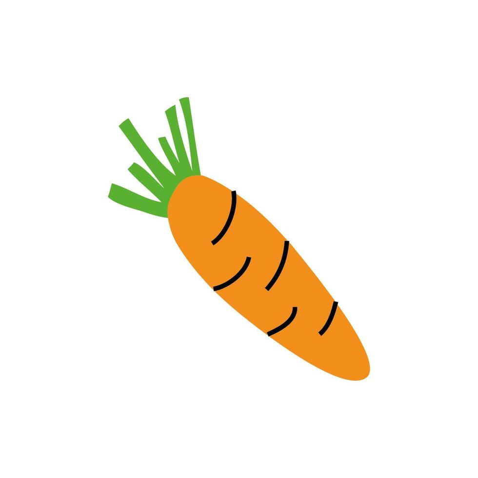 fresh carrot vegetable healthy isolated icon vector