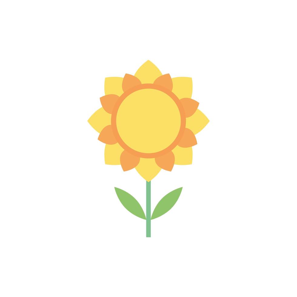 beautiful sunflower spring flat style vector