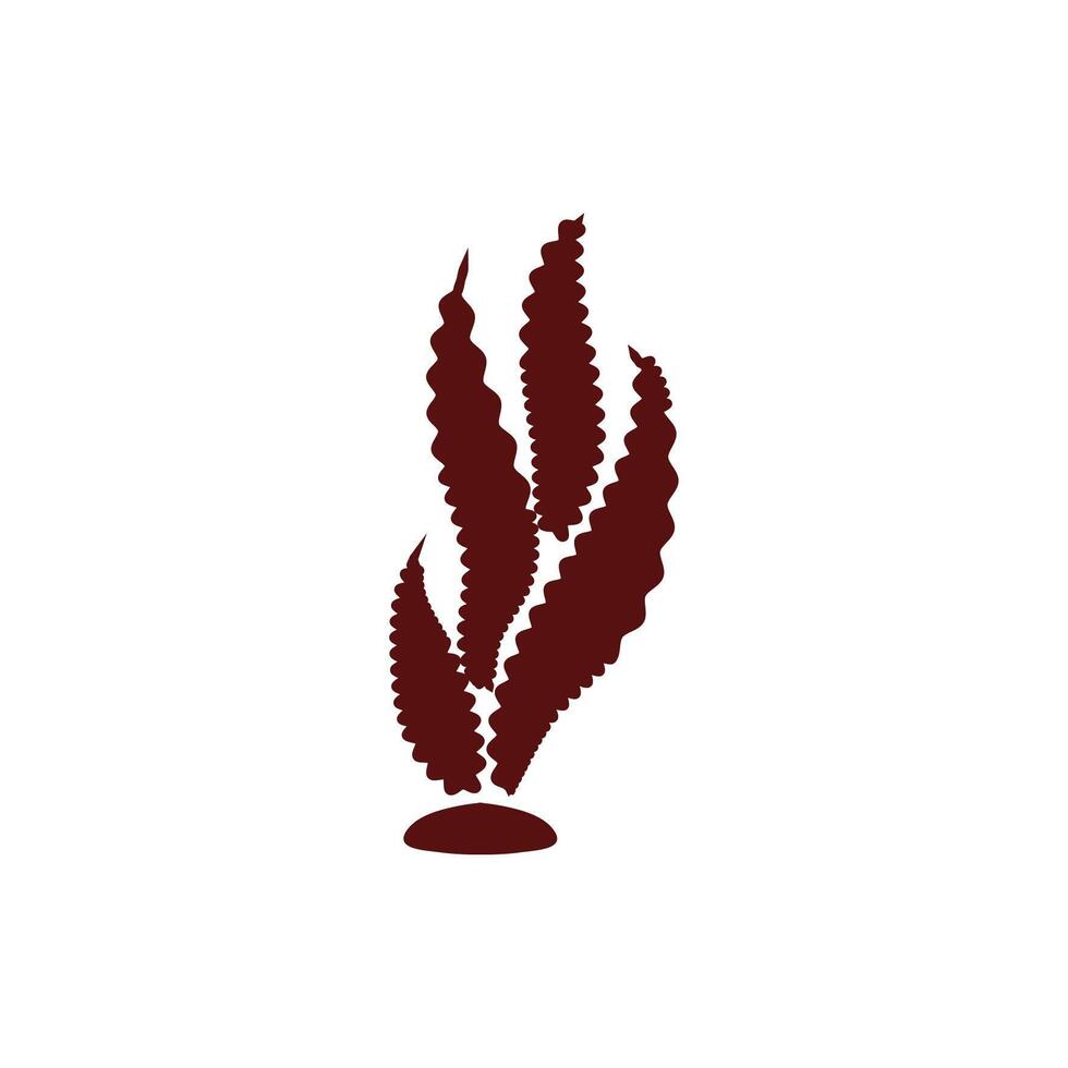 marine sea weed life icon vector