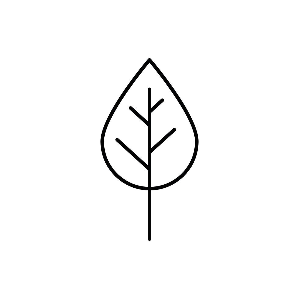 icono aislado de la naturaleza de la planta de hoja vector