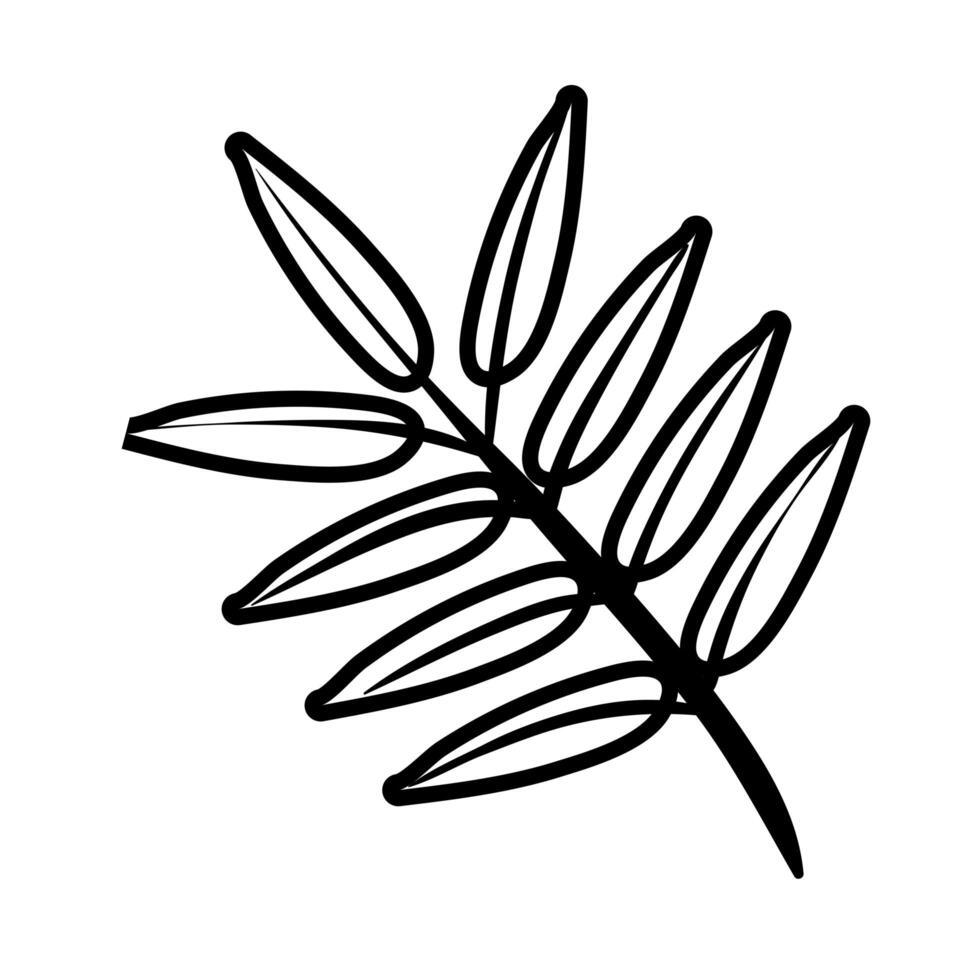 branch with leafs line style icon vector