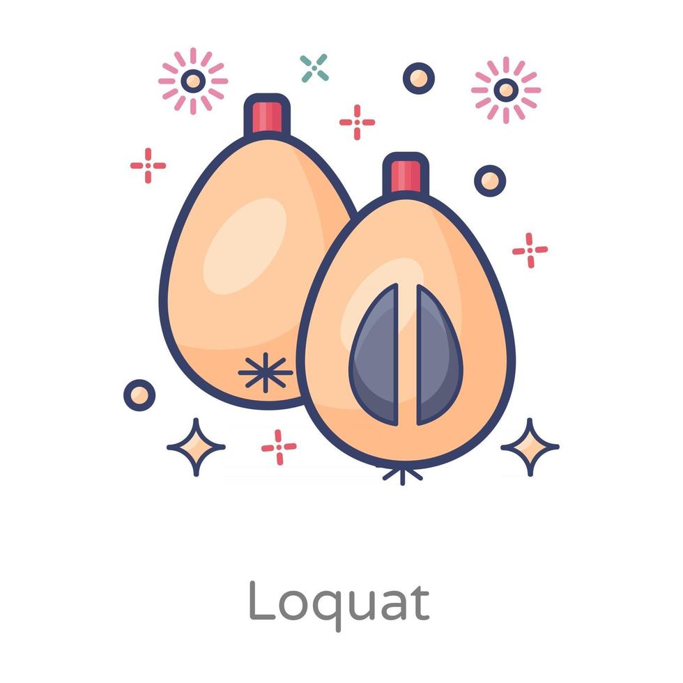 Loquat Healthy Fruit vector