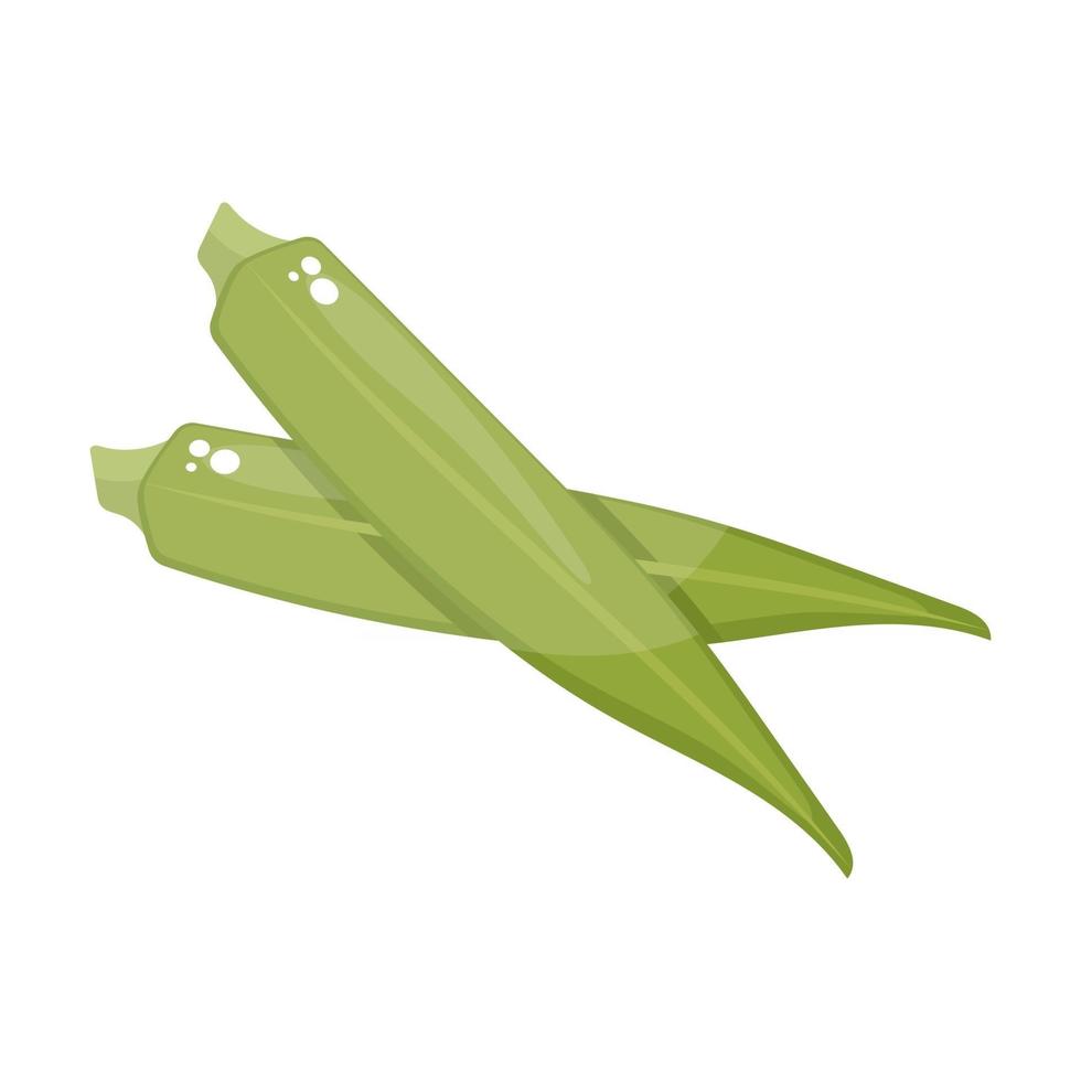 Ladyfinger Green Pod vector