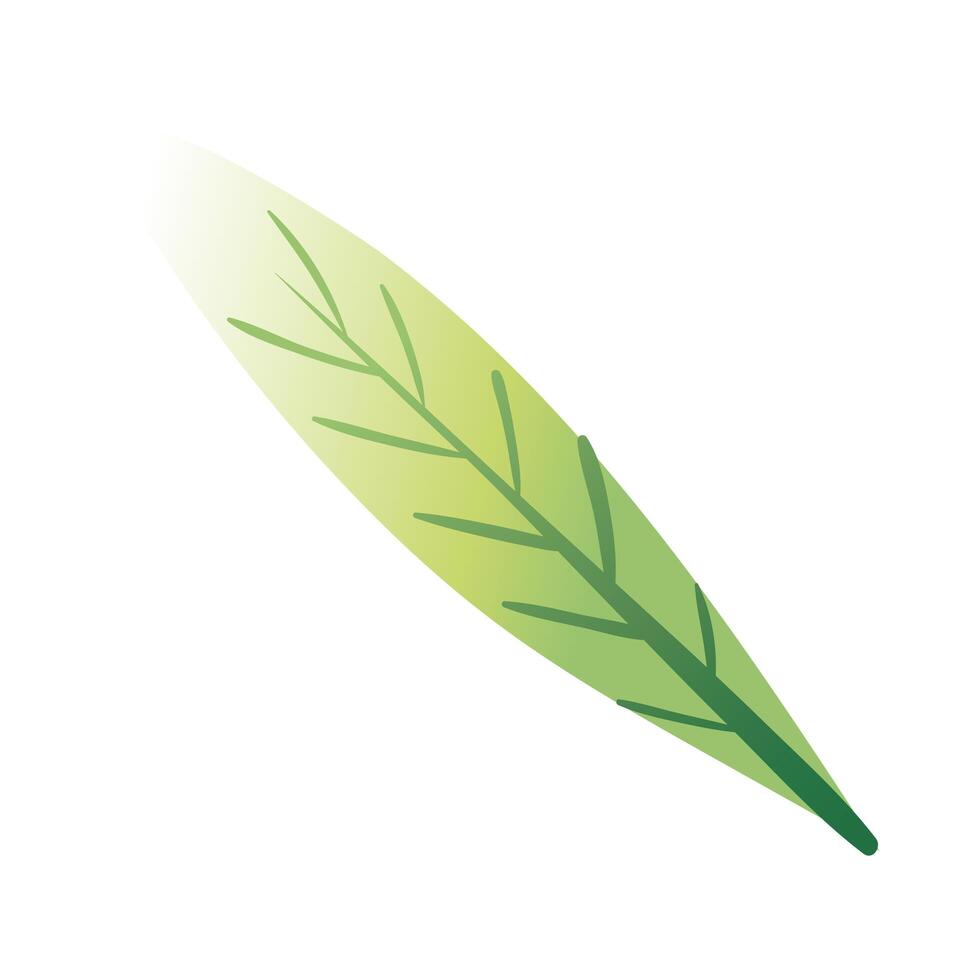 leaf palm hand draw style icon vector
