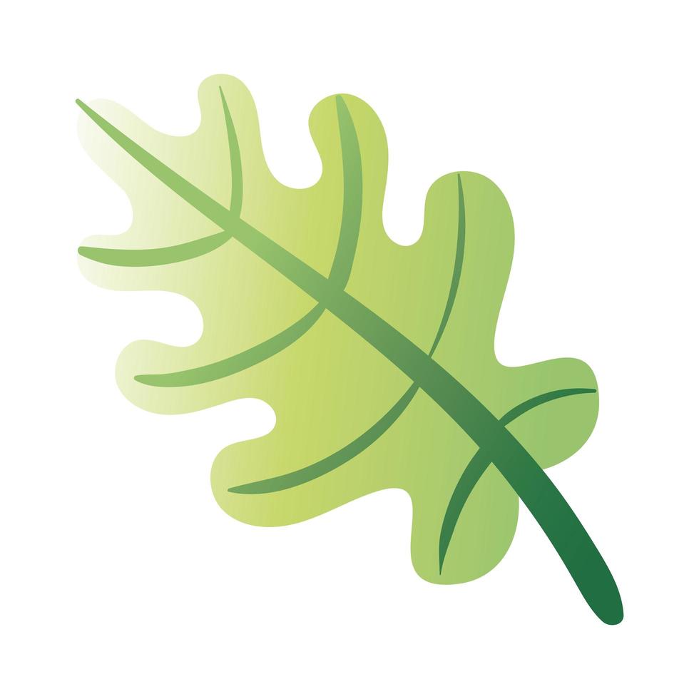 leaf palm hand draw style icon vector