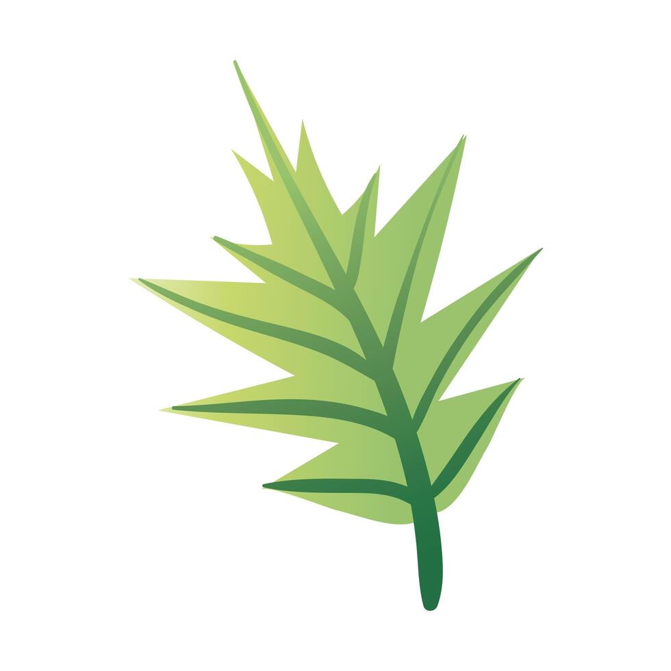 leaf palm hand draw style icon vector