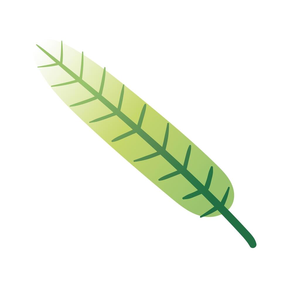 leaf palm hand draw style icon vector
