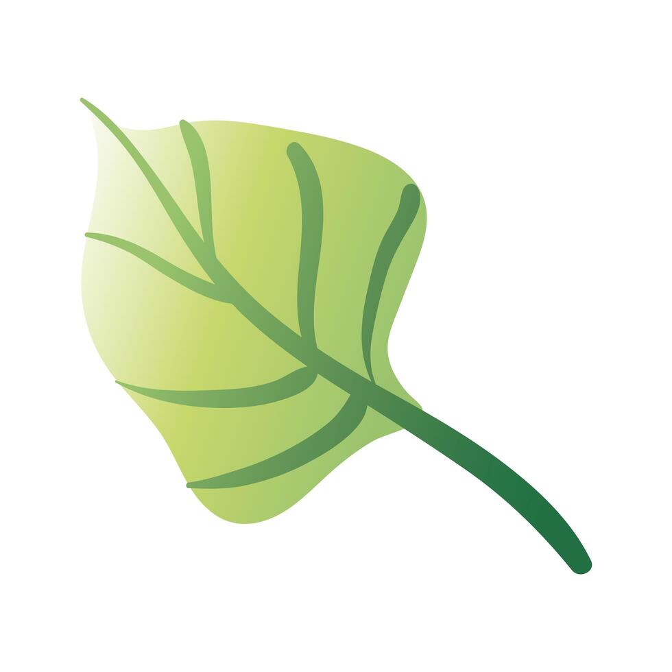 leaf plant hand draw style icon vector