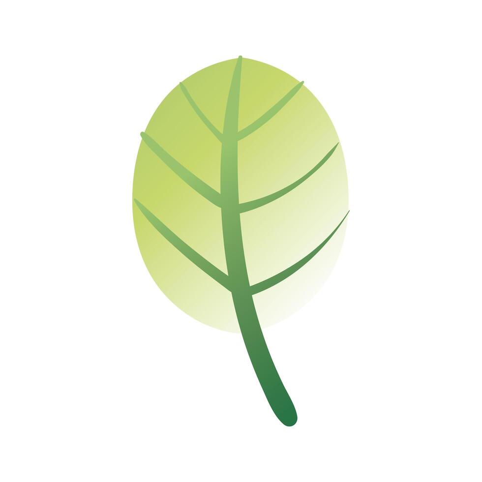 leaf plant hand draw style icon vector