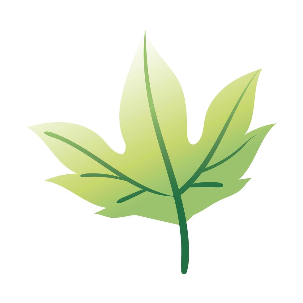 leaf palm hand draw style icon vector