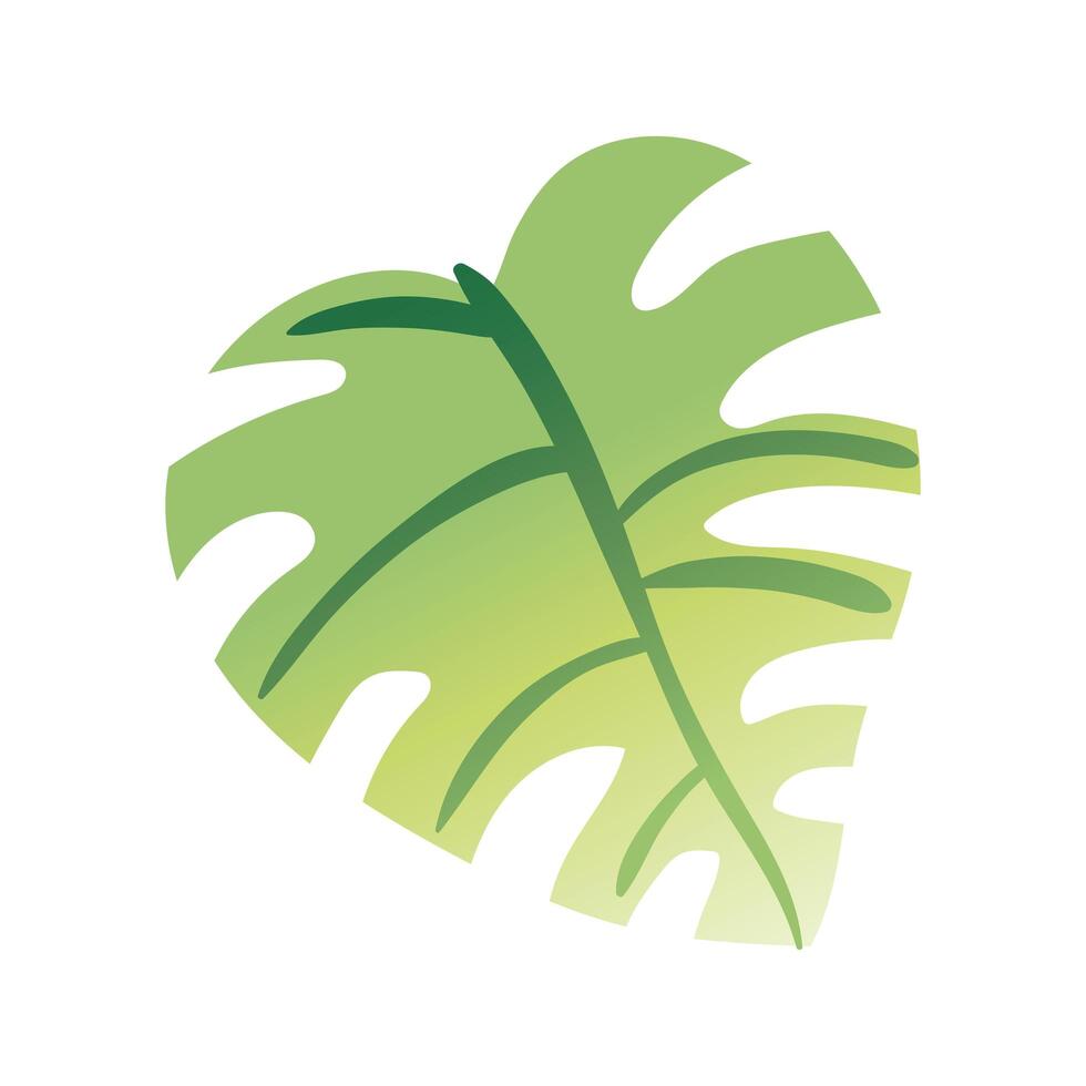 leaf palm hand draw style icon vector