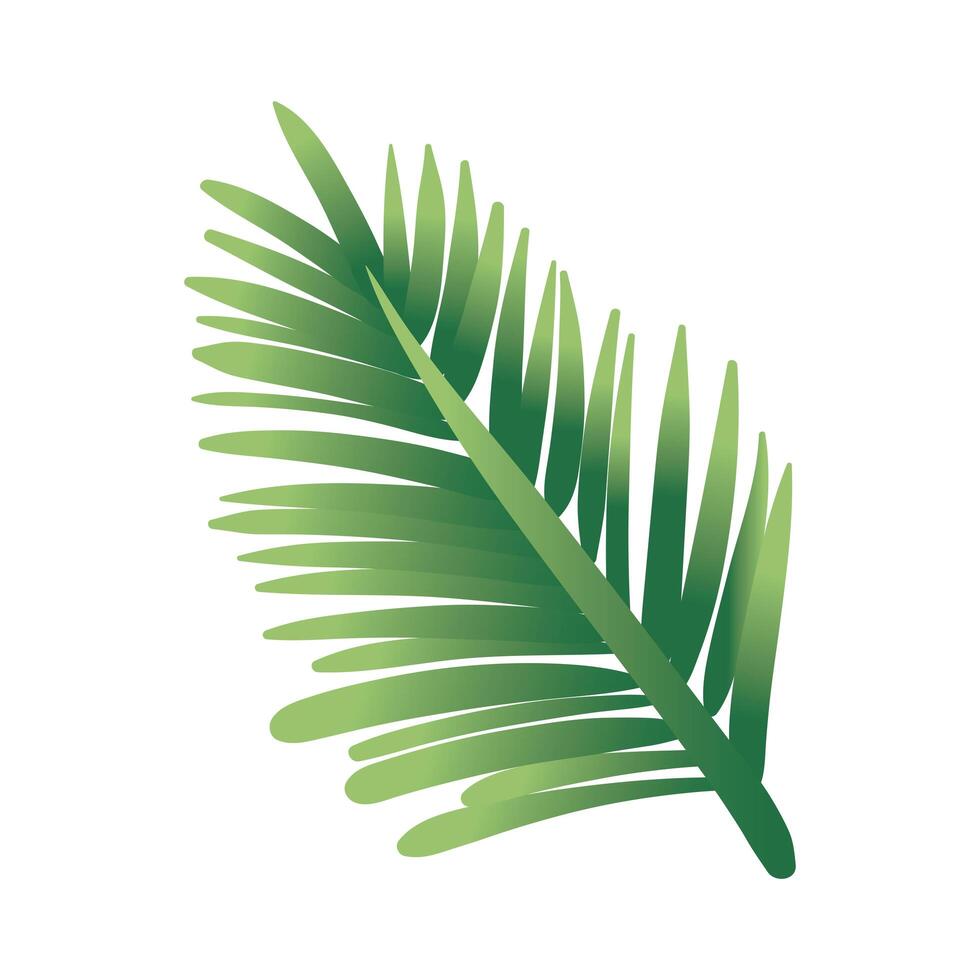 leaf palm hand draw style icon vector