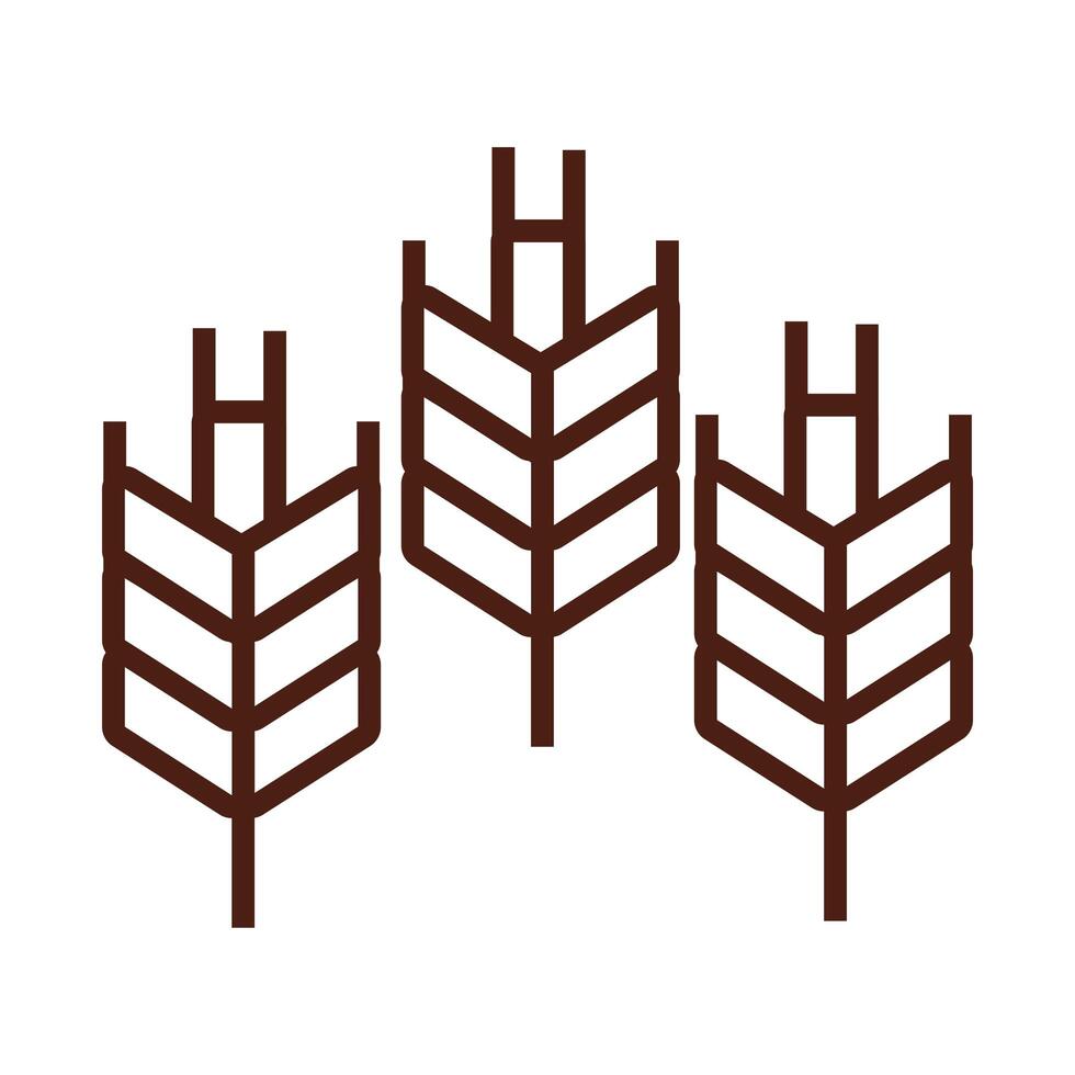 wheat spikes line style icon vector