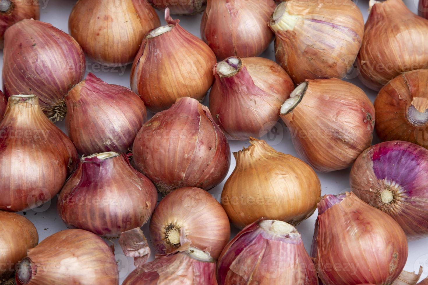 Fondo de cebolla fresca disparo de fotograma completo foto