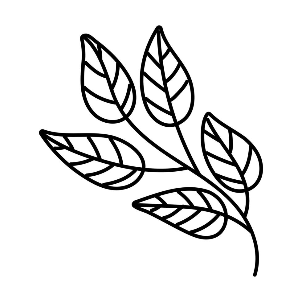 icono de estilo de línea de naturaleza de planta de hoja vector