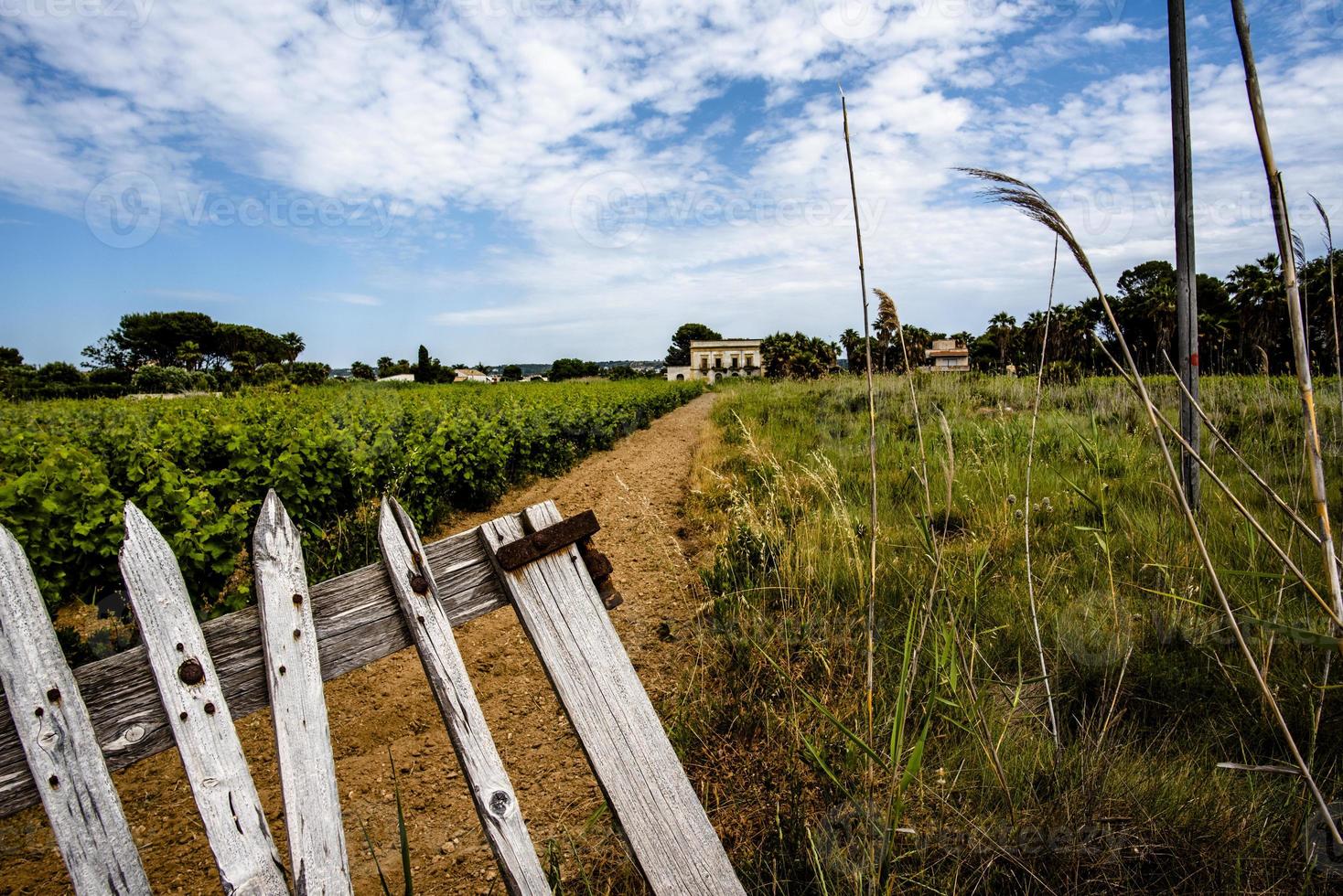 2021 05 29 marsala más allá de la puerta foto