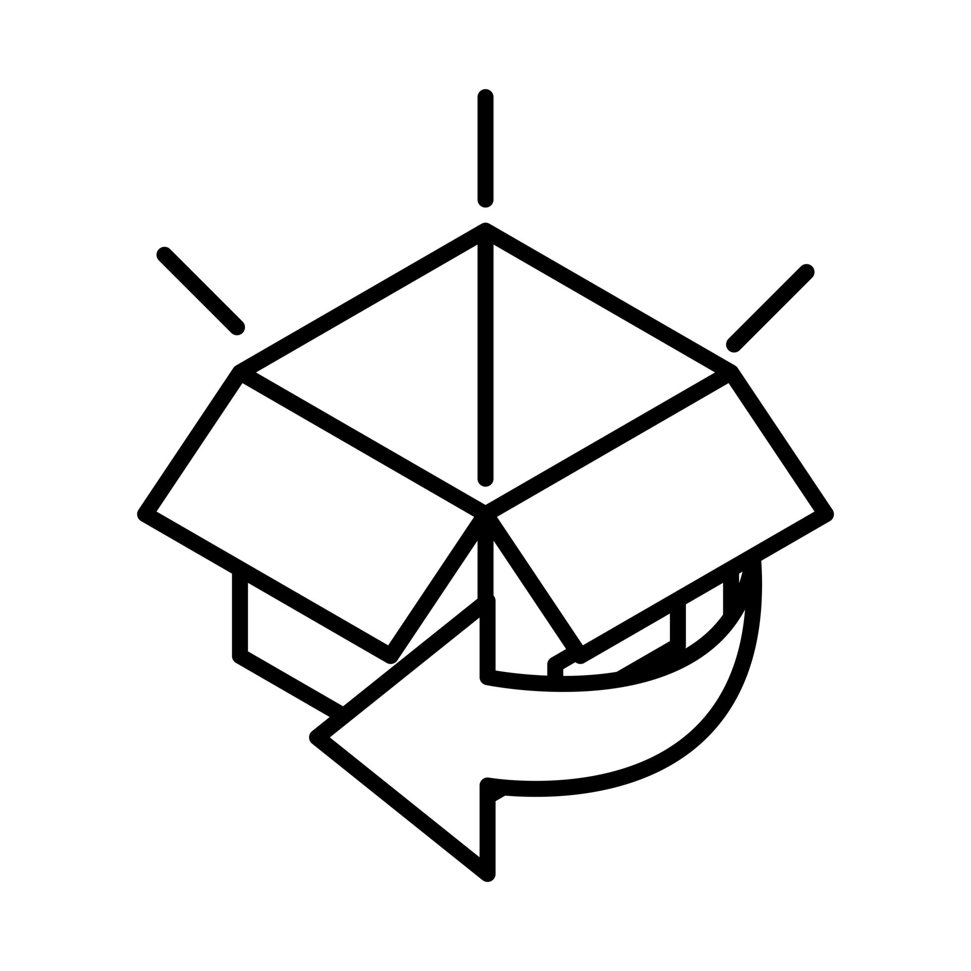 Box in processing. Box in processing