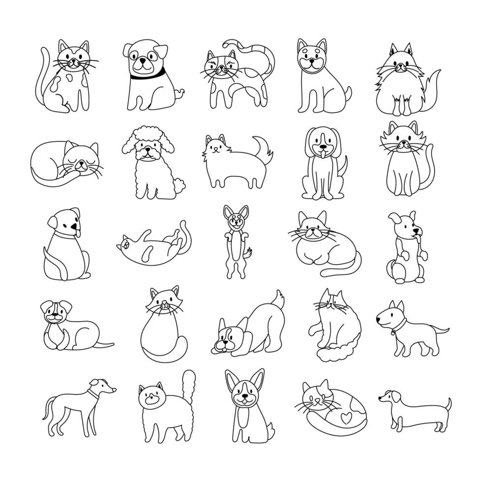 paquete de gatos y perros establecer iconos vector