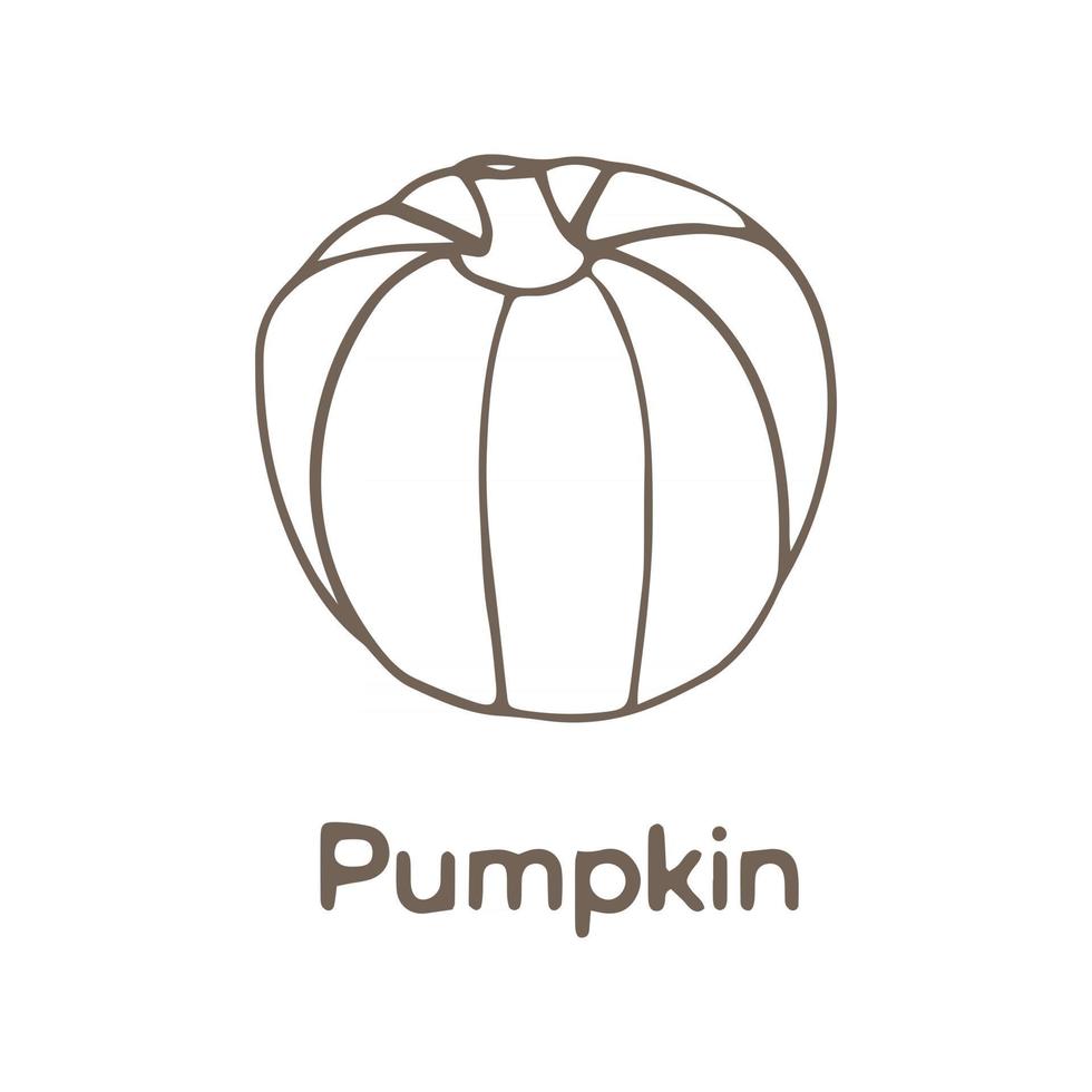 Simple black and white pumpkin icon isolated on white background Hand drawn autumn vector illustration for design for Halloween or Thanksgiving Day