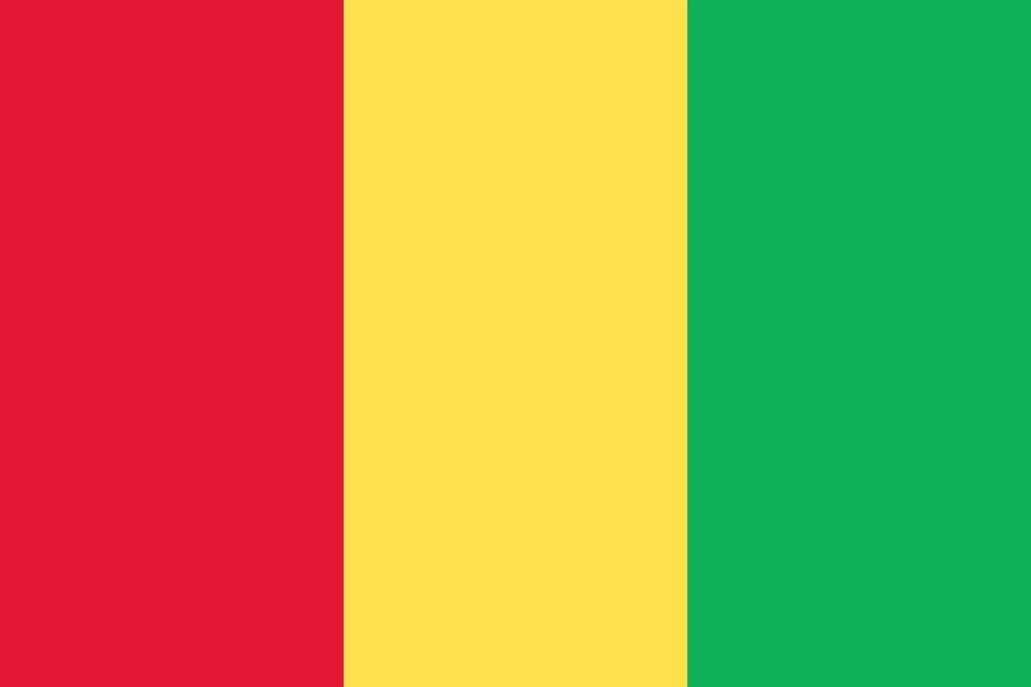 Guinea officially flag vector