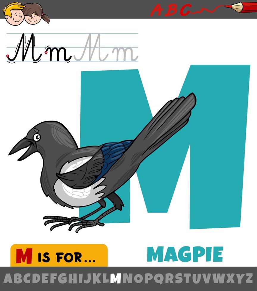 letter M from alphabet with cartoon magpie animal character vector