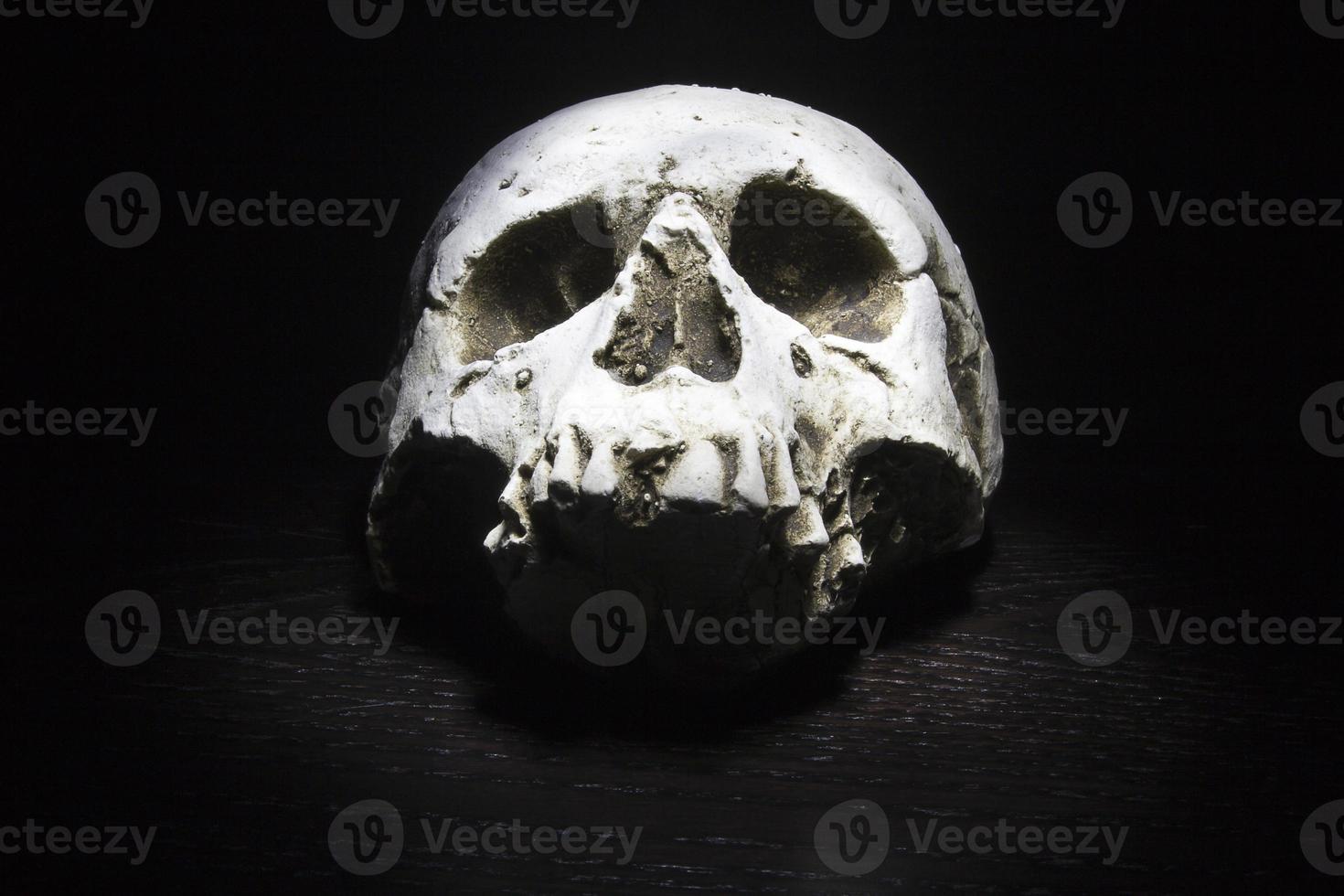 Skull on black background photo