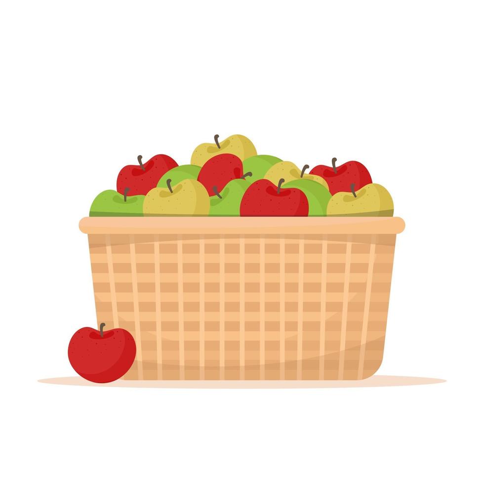 Basket with apples vector