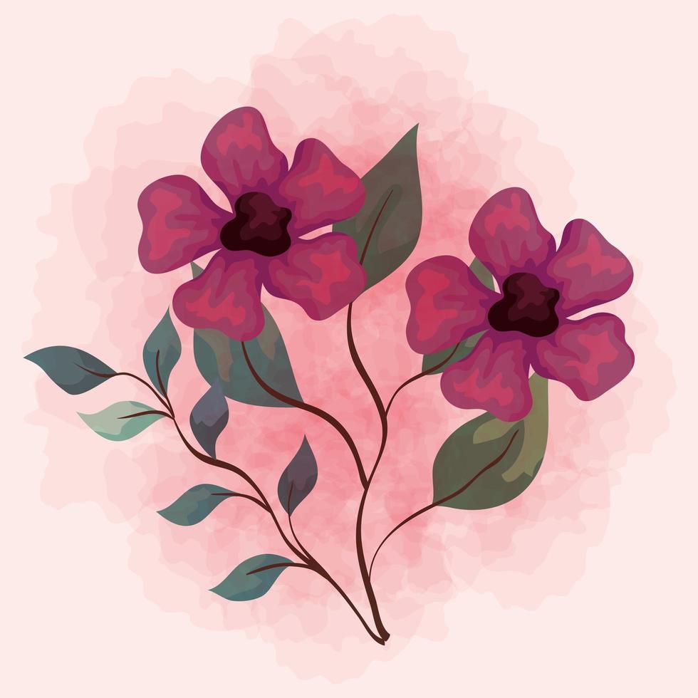 flowers purple color branches with leaves nature decoration vector