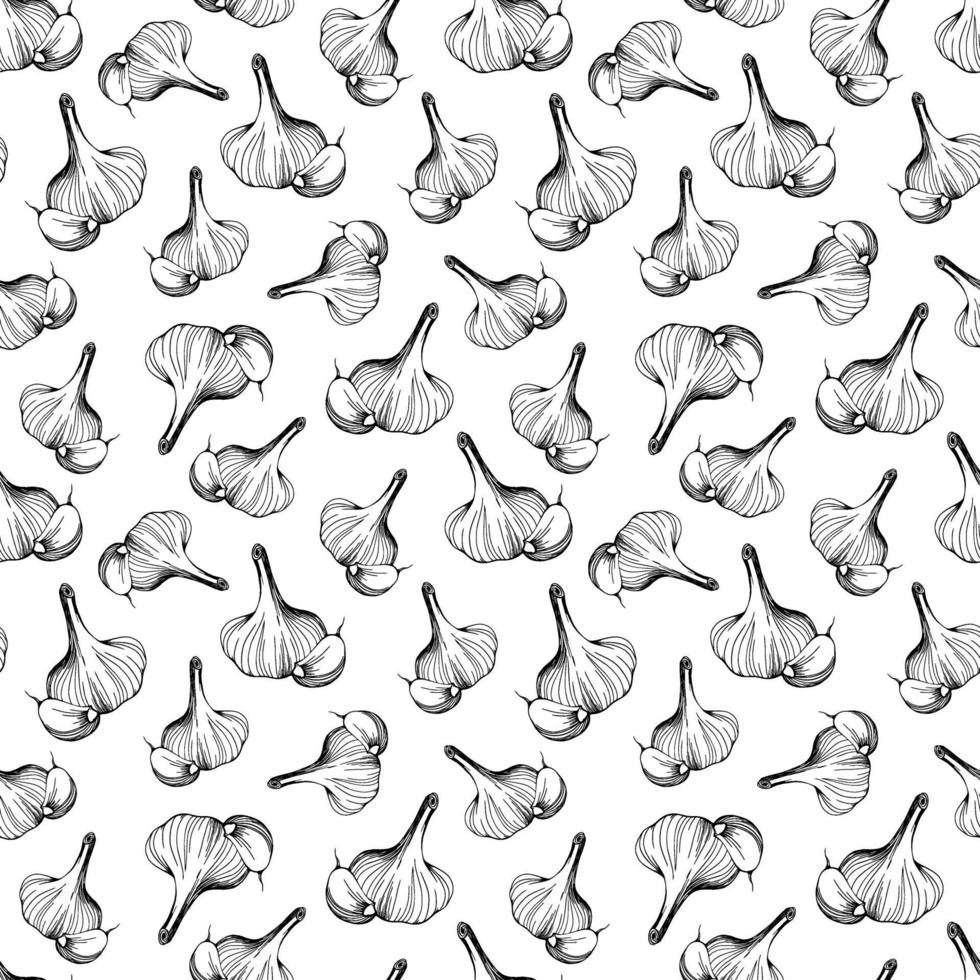 Garlic seamless pattern. Hand drawn vector illustration