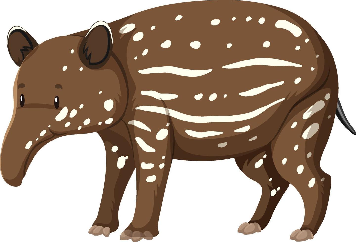 Bebé tapir animal salvaje sobre fondo blanco. vector