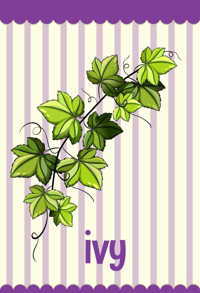 flashcard de vocabulario con word ivy vector