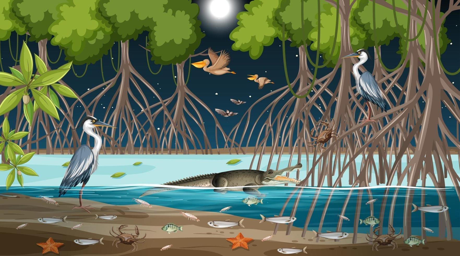 Mangrove forest landscape scene at night with many different animals vector