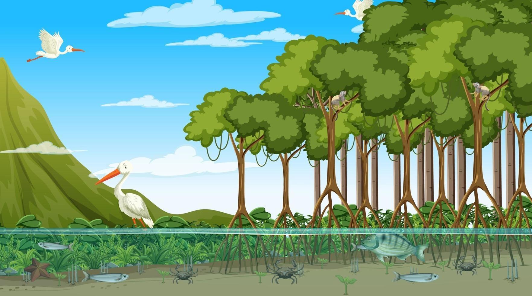 Animals live in Mangrove forest at daytime scene vector