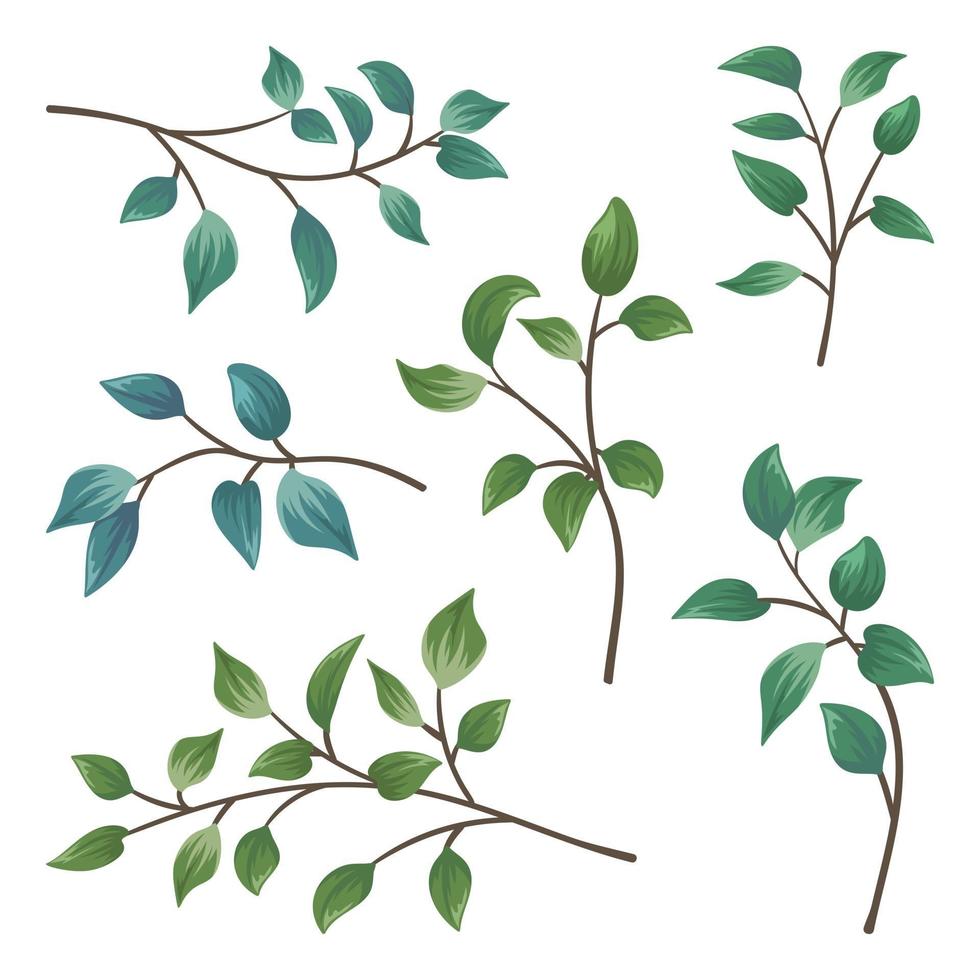 colección de hojas rama aislado en blanco vector