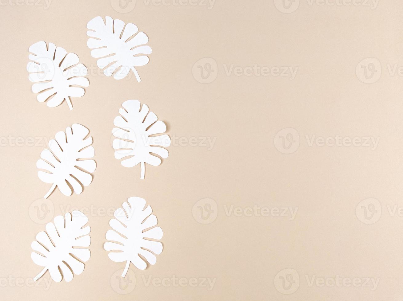 Hojas de papel monstera blanco sobre fondo beige con espacio de copia. foto