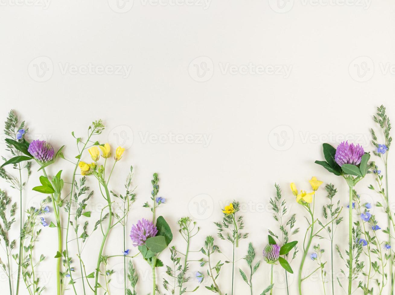 Mezcla de flores silvestres sobre fondo beige con espacio de copia. foto